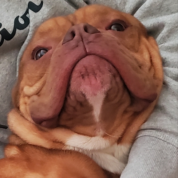 🐾my babies🐾 - Picture 2 of 11